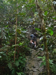 P1070553a.jpg
